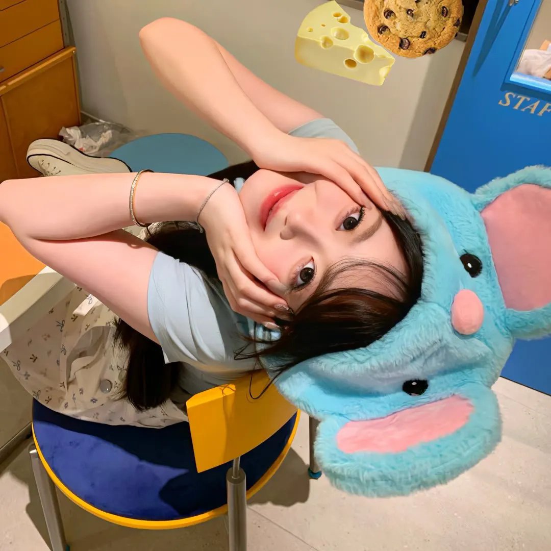 护垫侠